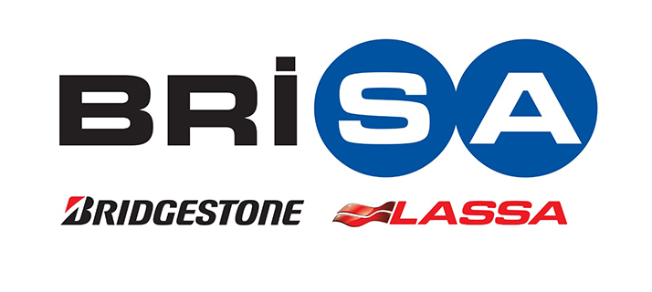 Bridgestone ve Lassa kış lastiklerinde  peşin veya taksitli alışverişlerde 500 TL’ye 100 TL indirim