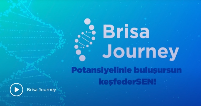 Brisa Journey